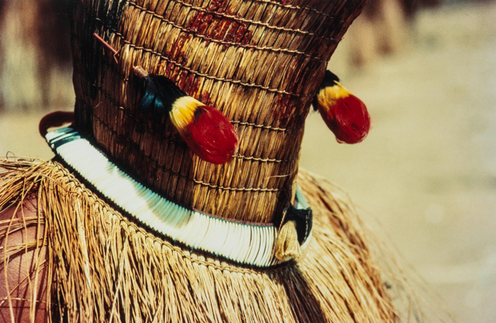 IMGM9975 Vida e Arte no Xingu