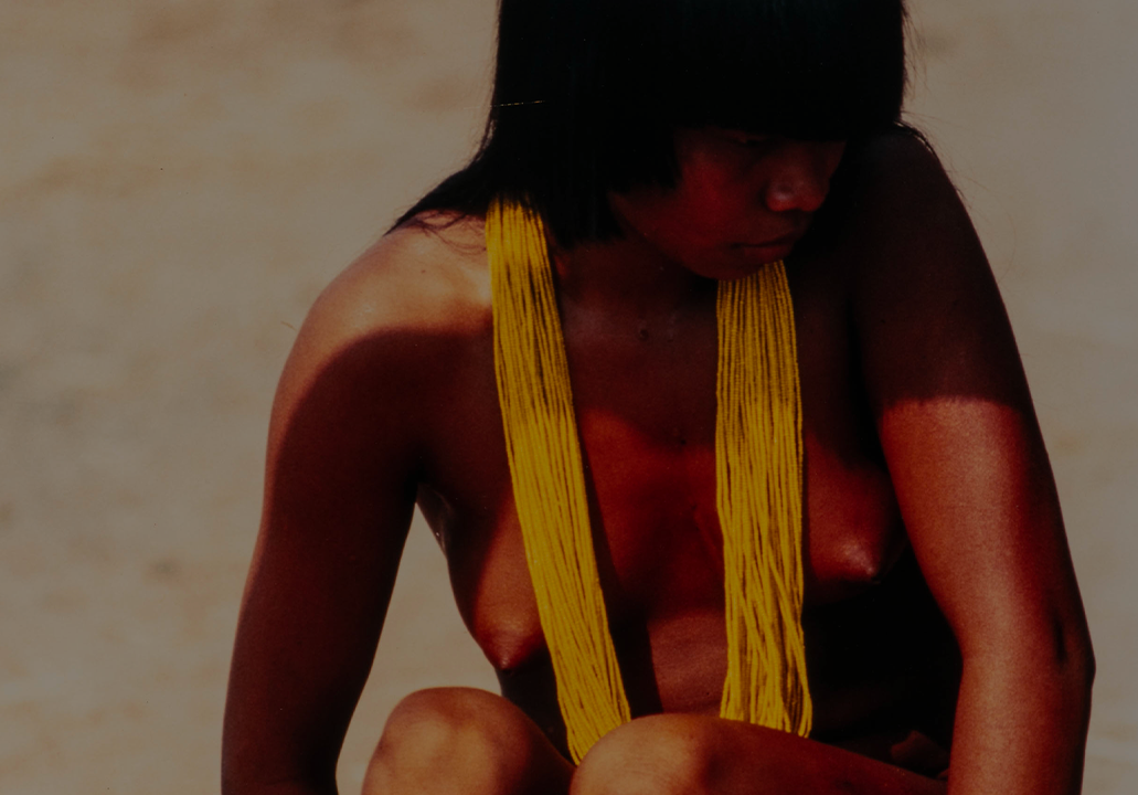 Vida e Arte no Xingu